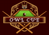 OWL CUE